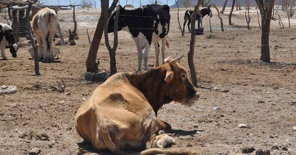 Coahuila se prepara para la sequía extrema que se extenderá hasta 2023