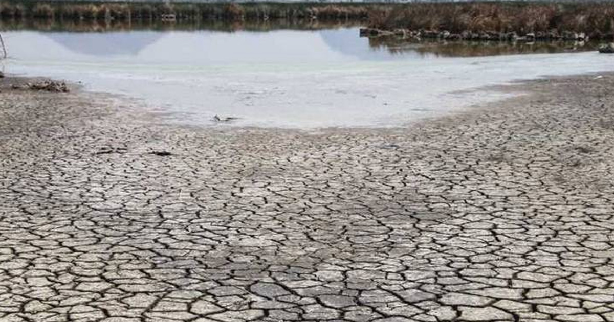 Coahuila en riesgo de atravesar un cuarto año de sequía