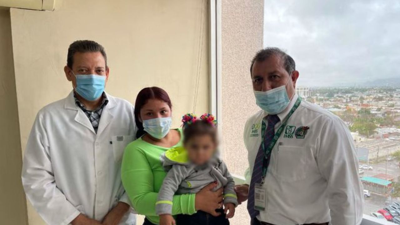 IMSS cornea