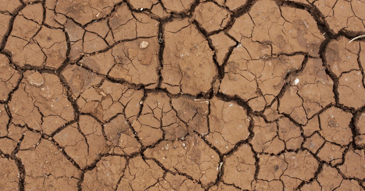 La sequía ocasionará se batalle con el agua y alimentos.