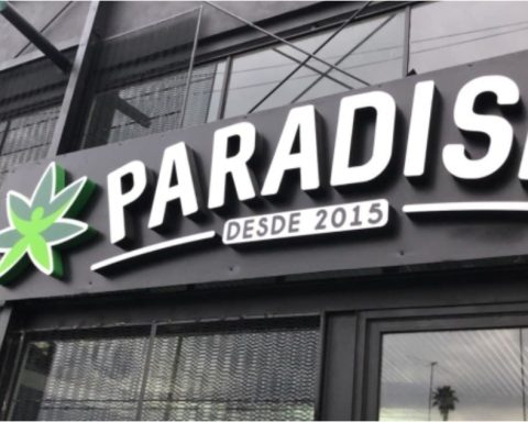paradise (1)