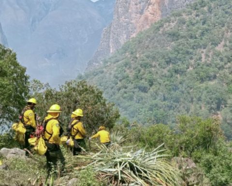Brigadistas se unen a paro nacional de la Conafor en Coahuila