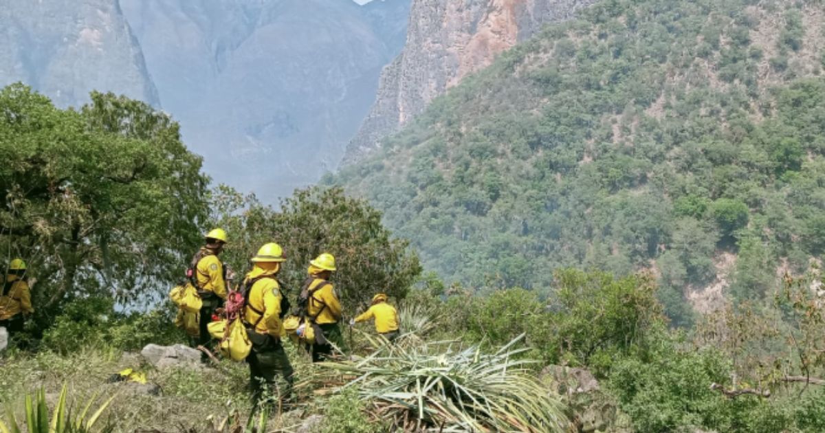 Brigadistas se unen a paro nacional de la Conafor en Coahuila