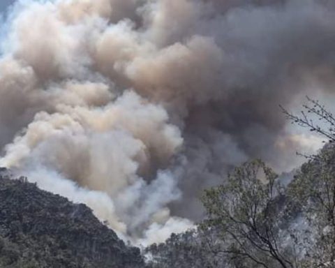 Coahuila enfrenta cuatro incendios forestales en condiciones extremas