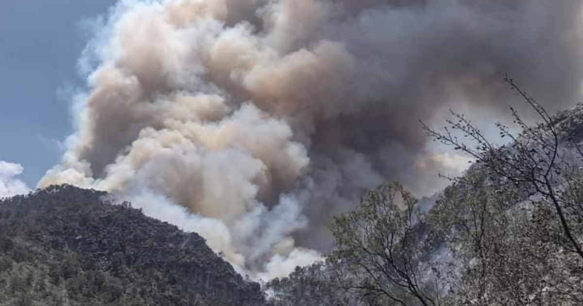 Coahuila enfrenta cuatro incendios forestales en condiciones extremas