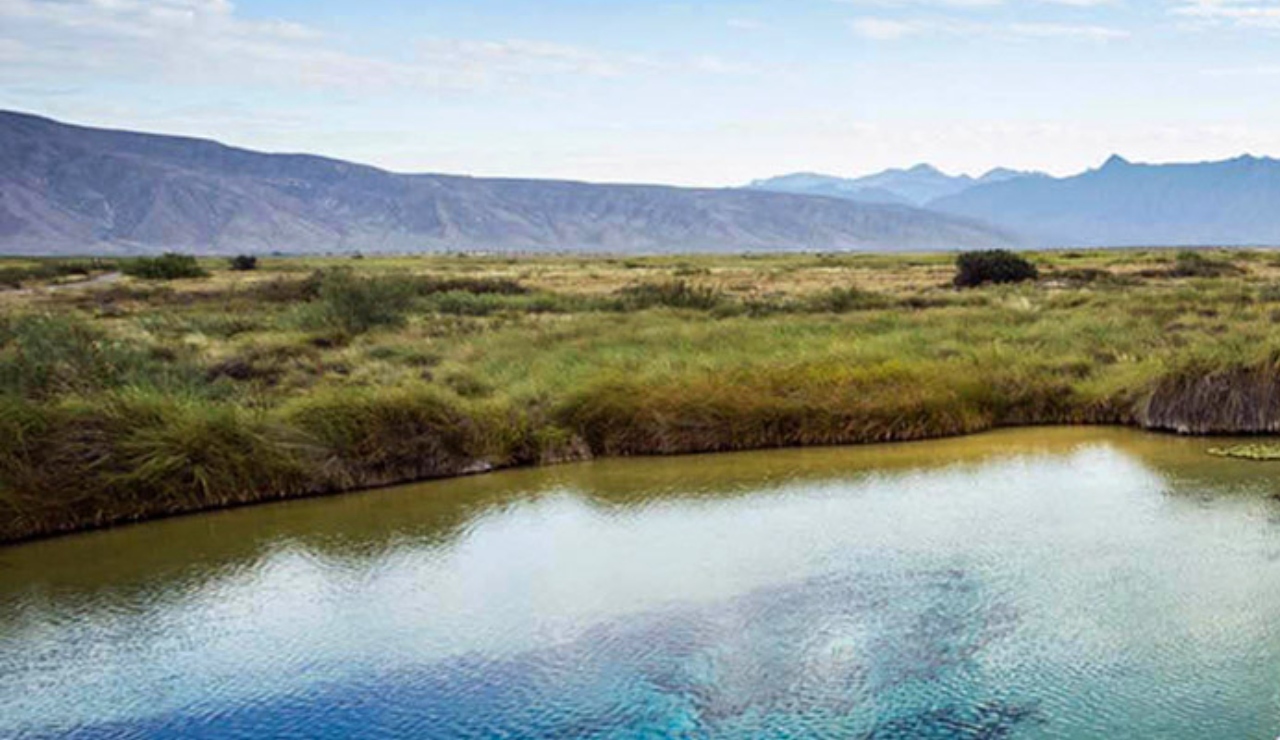 agua Cuatro Ciénegas