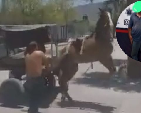 Cae hombre tras golpear con palo de madera a caballo en Coahuila