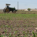 Suelos deteriorado en la región Lagunera: Reto urgente para la agricultura