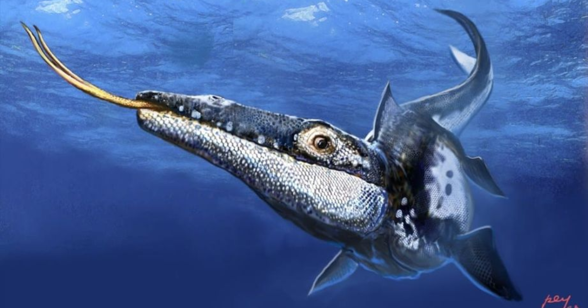 Presentan especie de reptil marino tras hallazgo de cráneo de hace 90 millones de años en NL