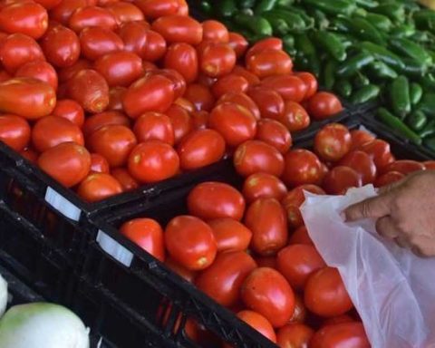Inseguridad en el sur de país eleva hasta 70% el costo de productos agrícolas