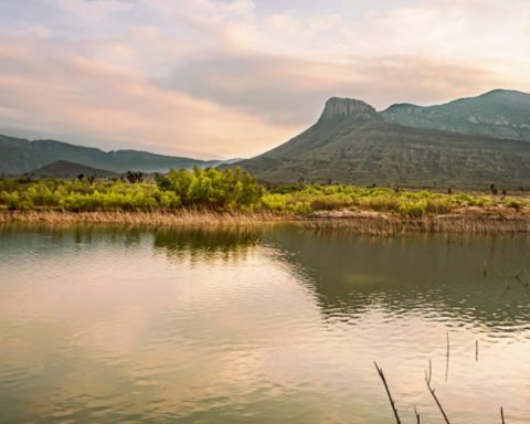 Presa Palo Blanco