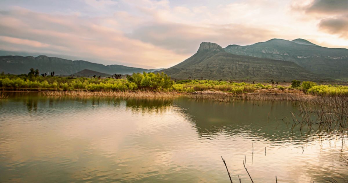 Presa Palo Blanco