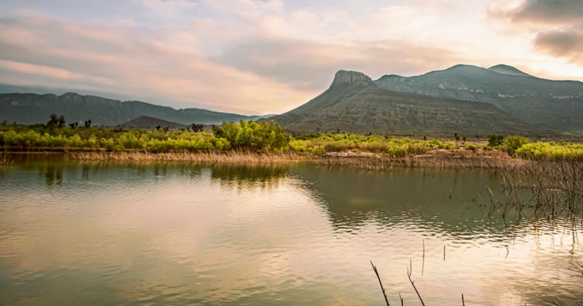 Presa Palo Blanco