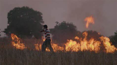 Documental estrujante de la vida en India.