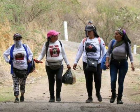 Colectivos de búsqueda.