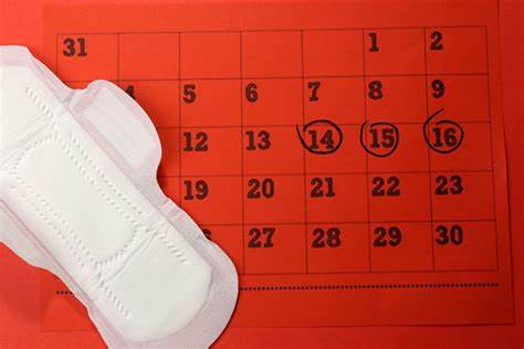 La licencia menstrual para las mujeres que sufren de dolores incapacitantes recientemente aprobado por el Congreso de Oaxaca.