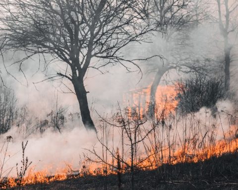 Coahuila se arma contra incendios.