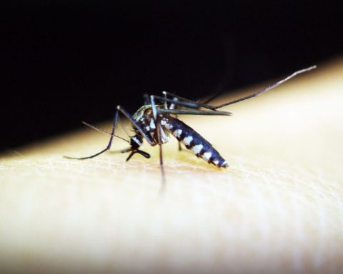 Alarma el caso confirmado de malaria.