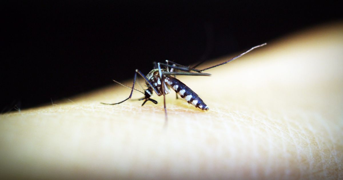 Alarma el caso confirmado de malaria.