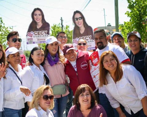 Cecilia Guadiana es la candidata de Morena al Senado.