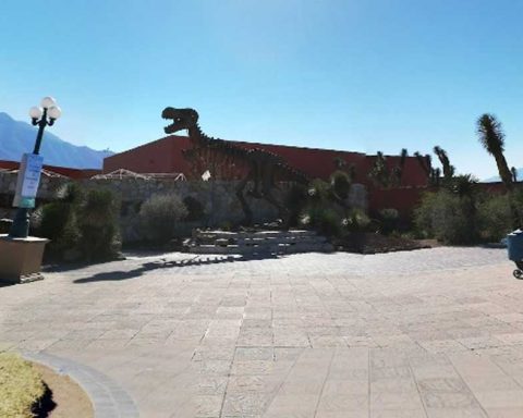 Museo del Desierto