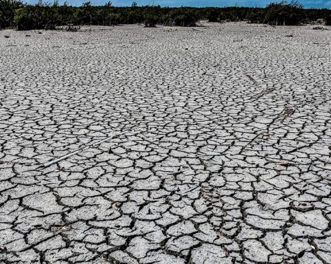 La falta de lluvias modifica la agricultura.