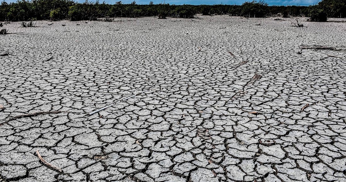 La falta de lluvias modifica la agricultura.