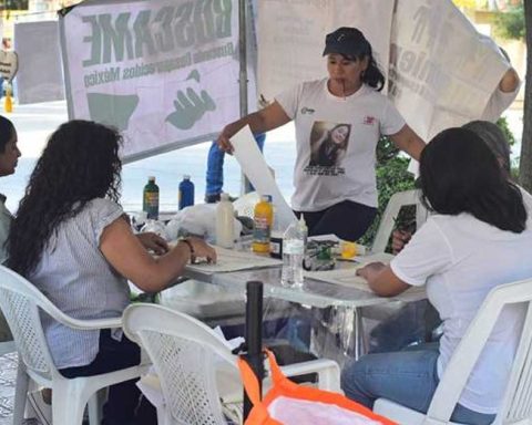 Este viernes fue la Jornada Nacional de Búsqueda.