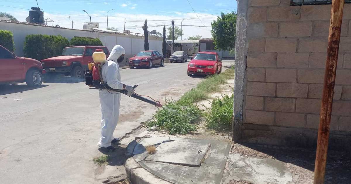 Fumigación Torreón