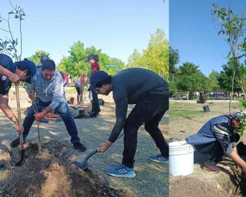 Jornada de reforestación