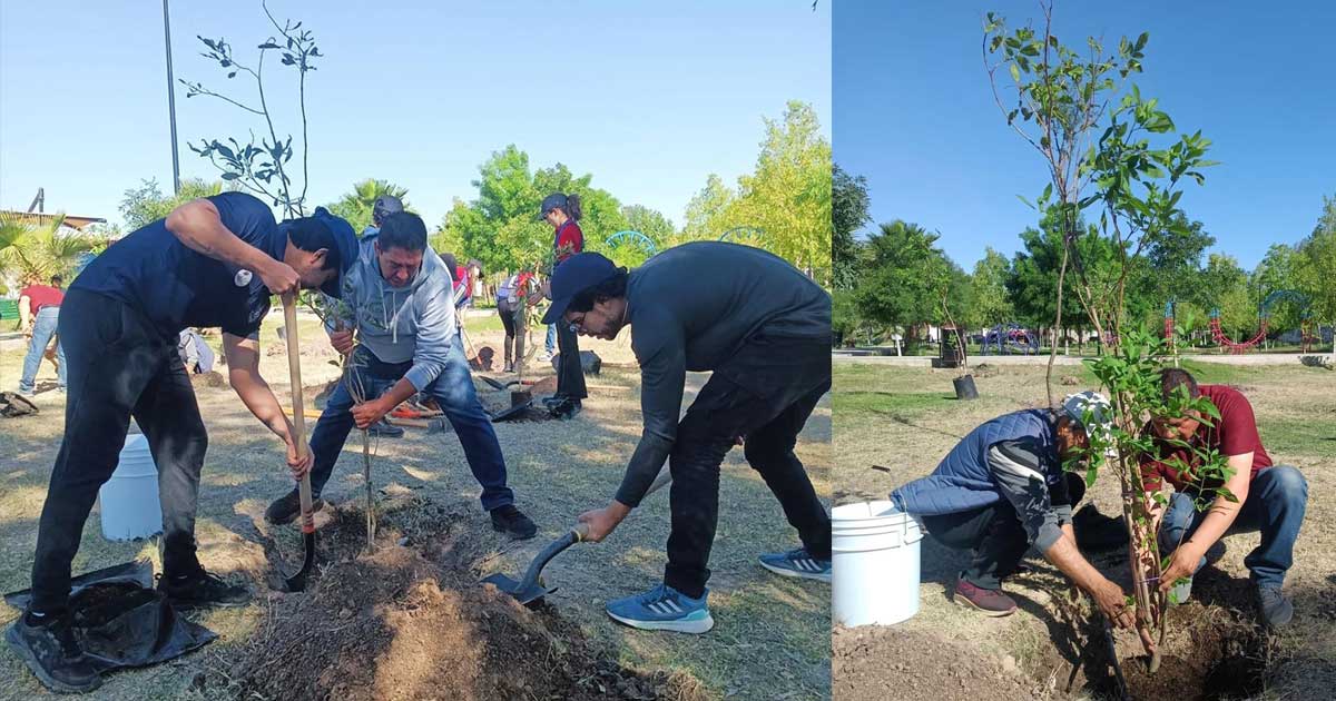 Jornada de reforestación