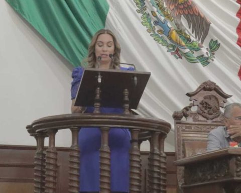 Diputada Magaly Hernández