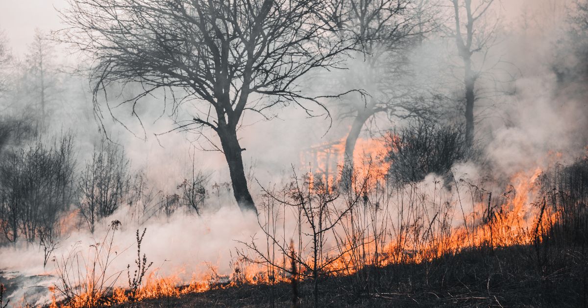 Alarma por incendios en cumbres de Saltillo