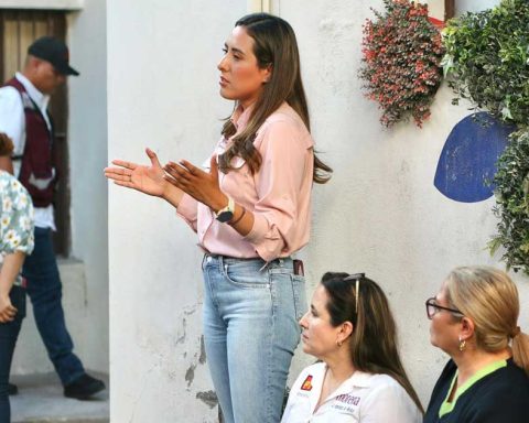 Cecilia Guadiana, candidata de Morena al Senado.