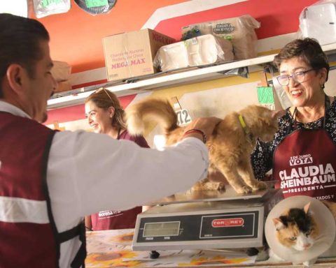 Shamir Fernández, candidato a la alcaldía de Torreón.