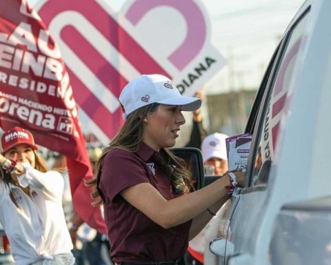 Cecilia Guadiana, candidata al Senado.