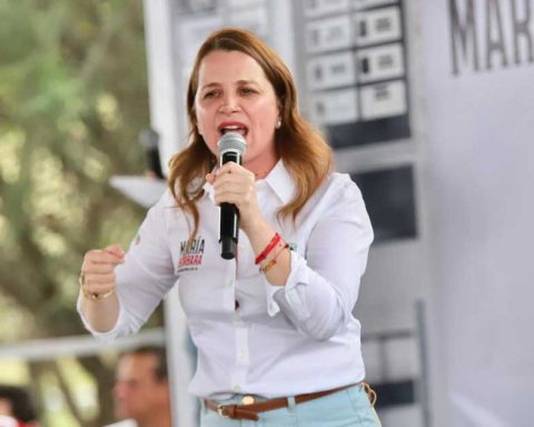 María Bárbara Cepeda, candidata al Senado.