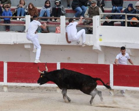 Espectáculo taurino