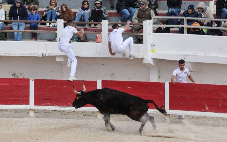 Espectáculo taurino