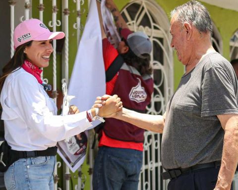 Cecilia Guadiana, candidata al Senado
