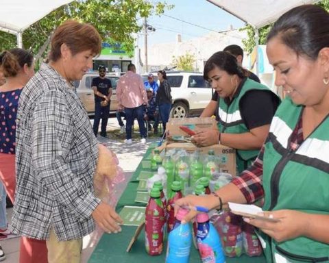 Reciclaje en San Pedro