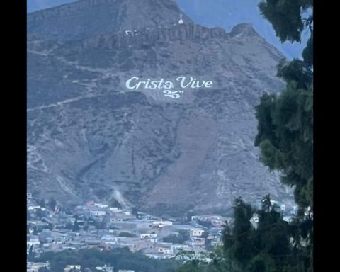 Crista Vive
