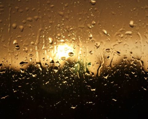 Se mantiene el ambiente cálido a caluroso, pronosticándose temperaturas máximas superiores a 40 °C