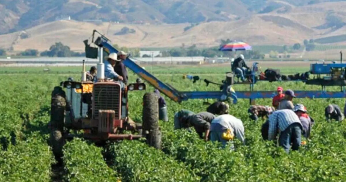 SECTOR AGRÍCOLA EN EU