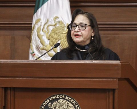 Norma Piña