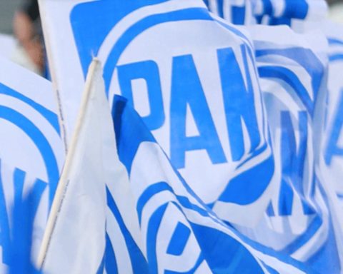 PAN Comité Directivo