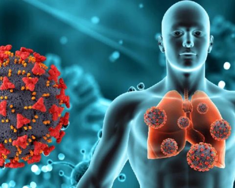 programa binacional tuberculosis