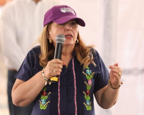 Loretta Ortiz candidatura