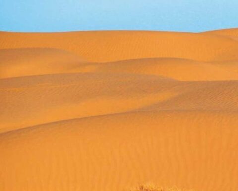 Dunas de Bilbao en Viesca.