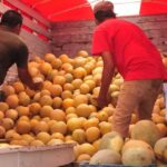 Productores en un camión lleno de melones.